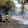 Un incendio sorprende a los vecinos de El Manantío (Badajoz)