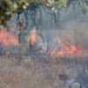 Un incendio sorprende a los vecinos del Coto del Manantío