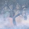 Un incendio sorprende a los vecinos del Coto del Manantío