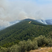 La coalición extremeña LEVANTA pide declarar &quot;catastrófica&quot; la zona del incendio