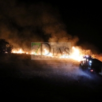 Incendio de madrugada cercano a la carretera de Olivenza (BA)
