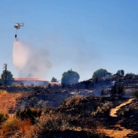 Evitan que el fuego llegue a las casas tras producirse un incendio de pastos en Plasencia