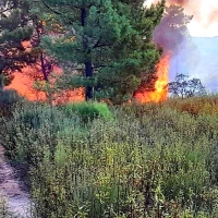 Un amplio dispositivo lucha contra un incendio forestal en Cadalso (CC)