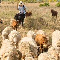 UPA: “La agricultura familiar es la que alimenta al mundo en situaciones críticas”