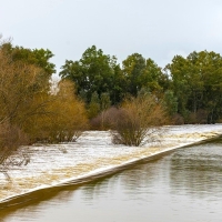 Varios carteles avisarán de las zonas de peligro en el río Guadiana