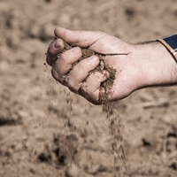 El primer semestre termina con la mayor siniestralidad registrada por el seguro agrario