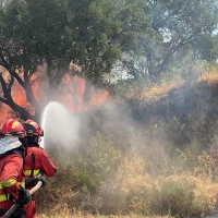 Estiman que el fuego ha abrasado a unos 80.000 animales en los incendios de Extremadura