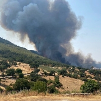FEDEXCAZA pide un plan para recuperar la biodiversidad en las zonas incendiadas