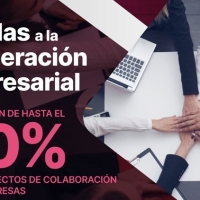 Últimos días para solicitar las ayudas a la cooperación empresarial