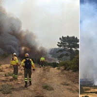 El fuego ha arrasado ya 1.000 hectáreas en el incendio forestal de Monfragüe