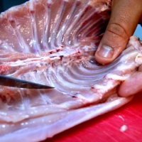 Reunión para mejorar la trazabilidad de la carne de caza silvestre