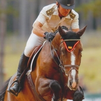 Extremadura acogerá en septiembre el XXXI Campeonato Nacional Militar de Equitación