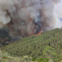 Paco Castañares: “El incendio está a punto de arrasar Riomalo de Arriba”