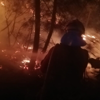 El incendio de Las Hurdes está poniendo en peligro a especies protegidas