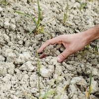 La Unión pregunta por qué en otras CCAA el Gobierno financia las pérdidas y en Extremadura no