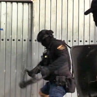 Desmantelan cuatro plantaciones indoor de marihuana con 1.700 plantas