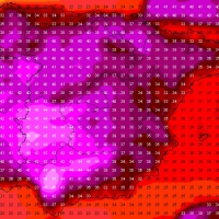 Las temperaturas subirán de los 45 grados en Extremadura