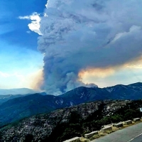 Alertan de las pérdidas en biodiversidad que suponen los incendios en Monfragüe y Las Hurdes