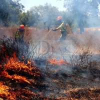 Un incendio sorprende a los vecinos de El Manantío (Badajoz)