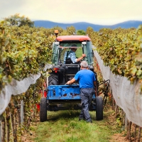 Agricultores extremeños aseguran no poder pagar los salarios con el nuevo convenio