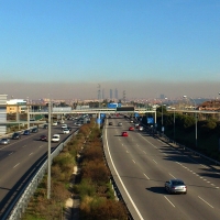 Las ciudades son el principal foco de riesgo de zoonosis con potencial pandémico