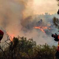 Ya se conocen los datos exactos del incendio en Monfragüe