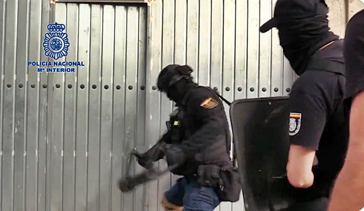 Desmantelan cuatro plantaciones indoor de marihuana con 1.700 plantas