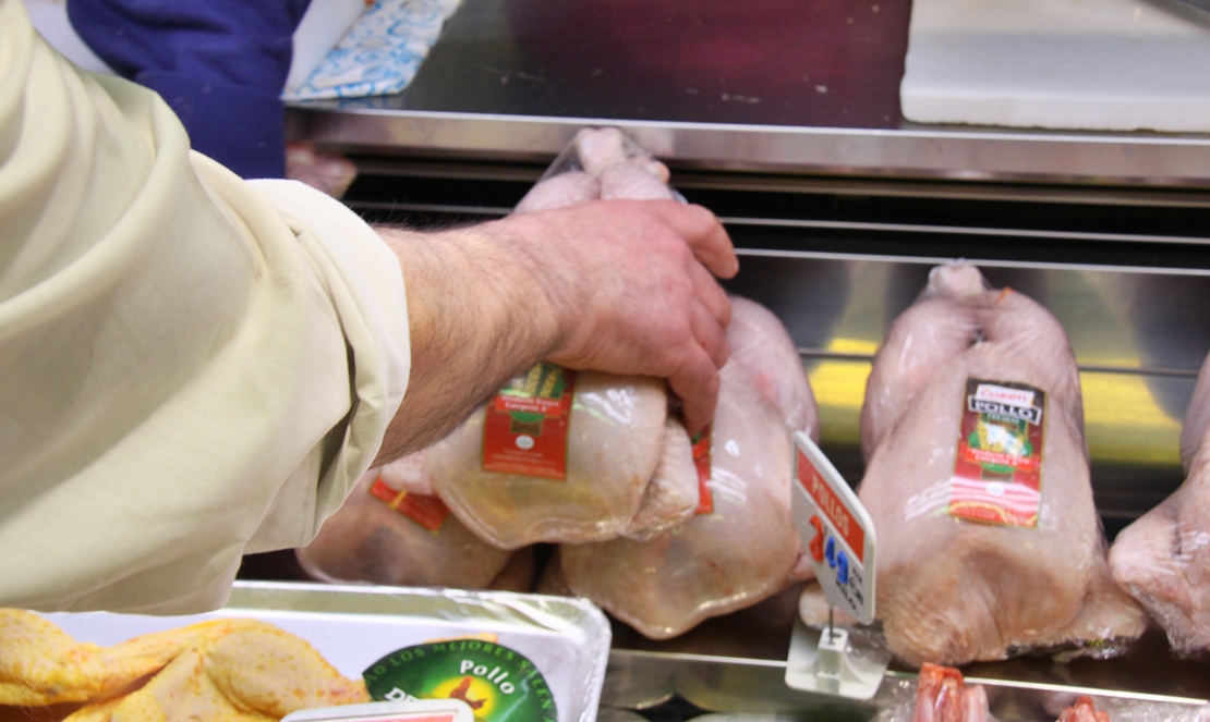 UPA amenaza con protestas: “sube el precio del pollo pero los granjeros siguen percibiendo lo mismo”