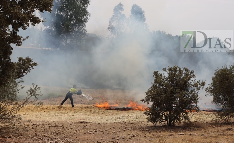 Incendio forestal en San Isidro (Badajoz)