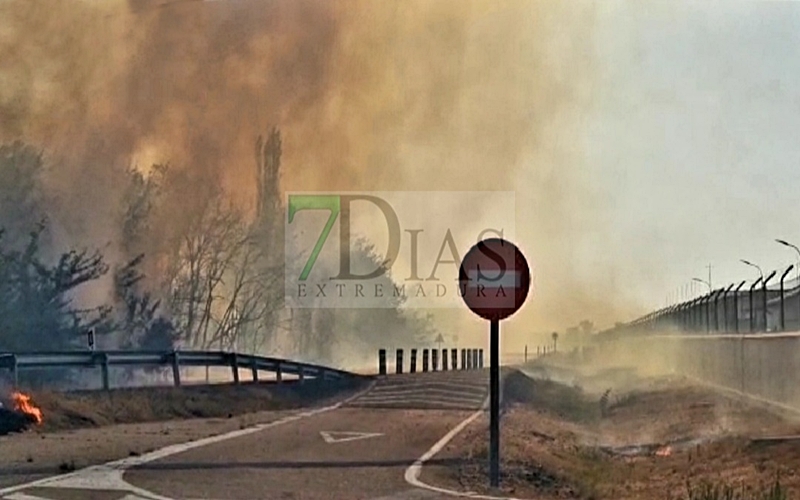 Un incendio se queda a las puertas de la Base Aérea de Talavera (BA)