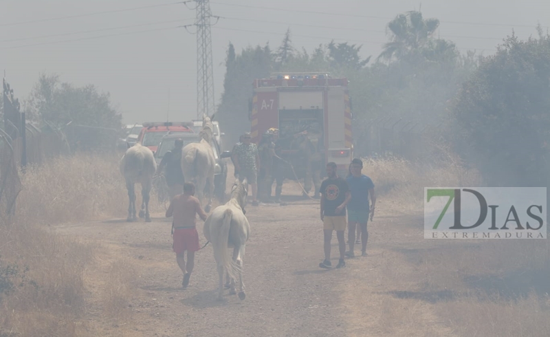 Incendio forestal en San Isidro (Badajoz)