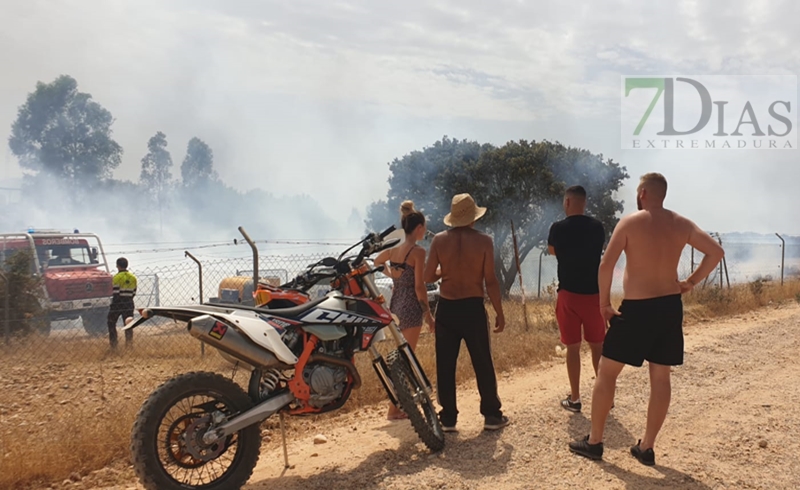 Incendio forestal en San Isidro (Badajoz)