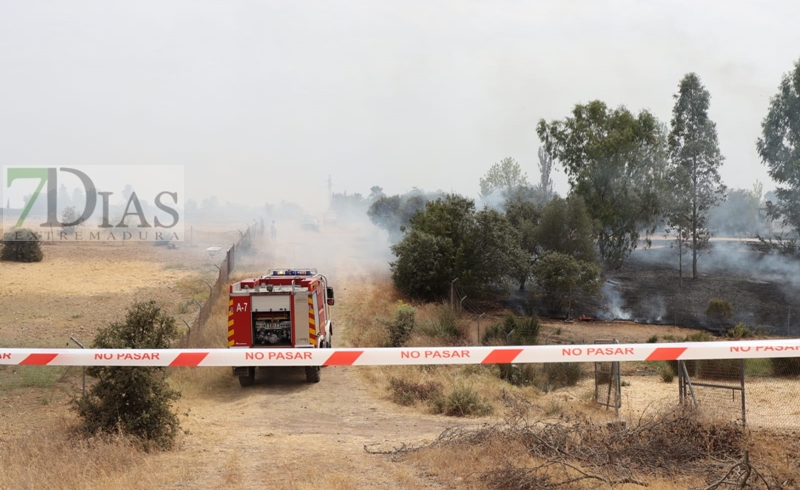 Incendio forestal en San Isidro (Badajoz)