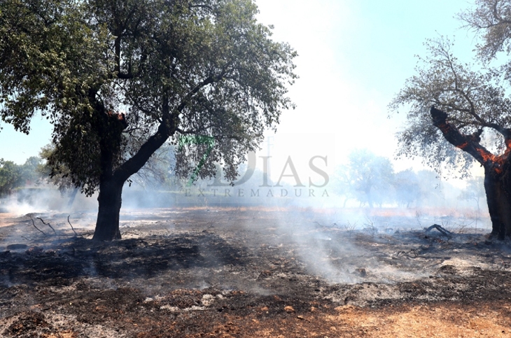 Un incendio sorprende a los vecinos de El Manantío (Badajoz)