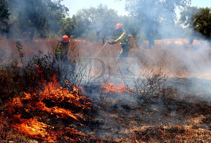 Un incendio sorprende a los vecinos de El Manantío (Badajoz)