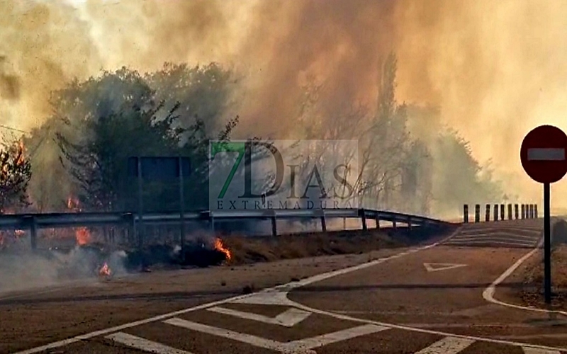 Un incendio se queda a las puertas de la Base Aérea de Talavera (BA)