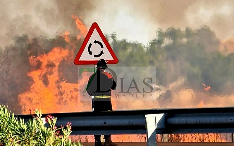 Un incendio se queda a las puertas de la Base Aérea de Talavera (BA)