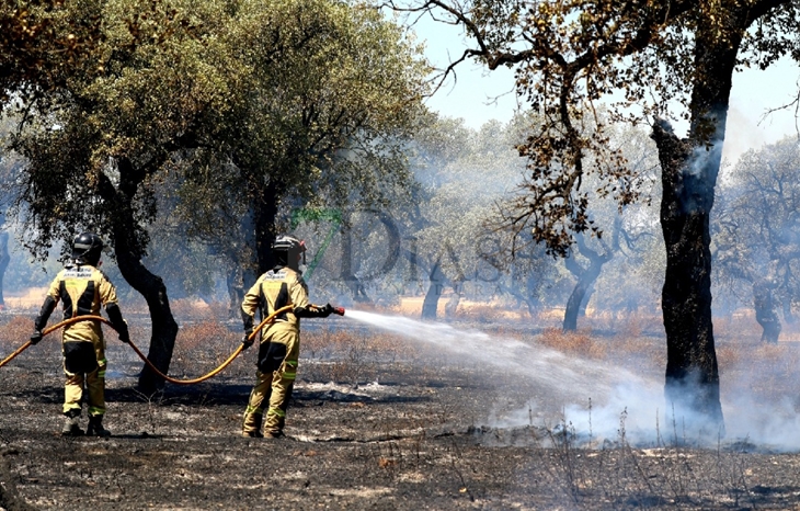 Un incendio sorprende a los vecinos de El Manantío (Badajoz)