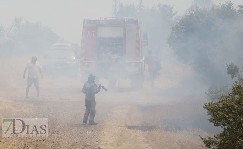 Incendio forestal en San Isidro (Badajoz)