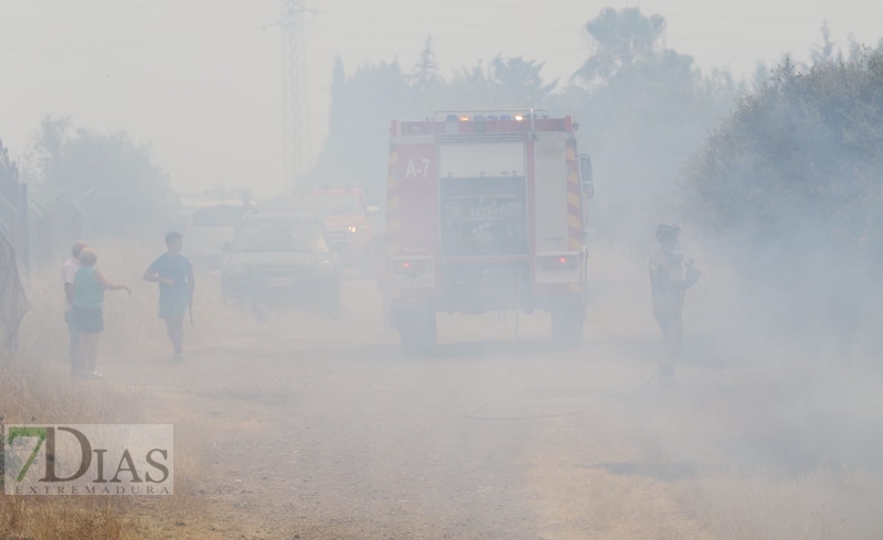 Incendio forestal en San Isidro (Badajoz)