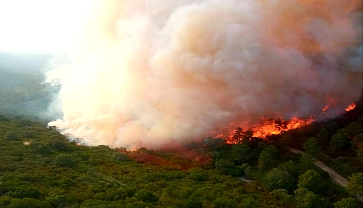 Asociación Amigos de Monfragüe: &quot;Nuestro parque nacional está en grave peligro&quot;