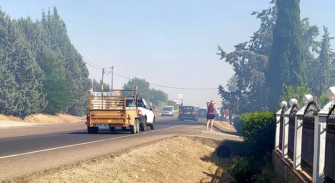 Arde un vivero en Badajoz, Ya han detenido al pirómano