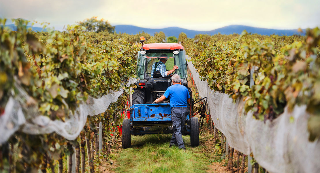 Agricultores extremeños aseguran no poder pagar los salarios con el nuevo convenio