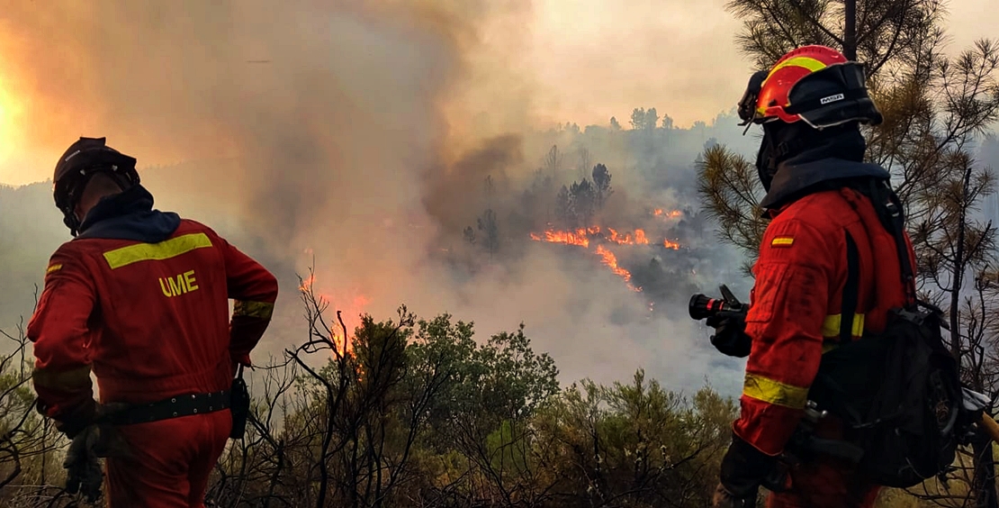 Ya se conocen los datos exactos del incendio en Monfragüe