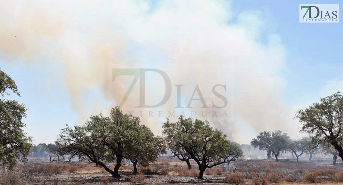 Un incendio sorprende a los vecinos del Coto del Manantío