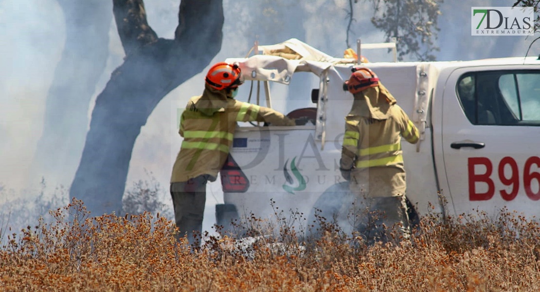 Un incendio sorprende a los vecinos del Coto del Manantío