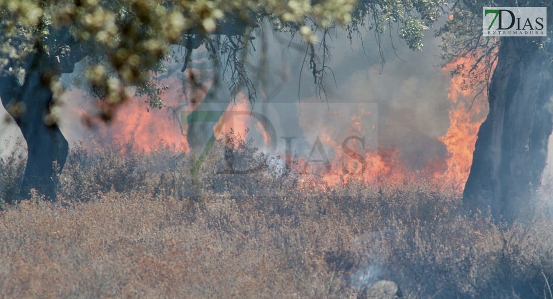 Un incendio sorprende a los vecinos del Coto del Manantío