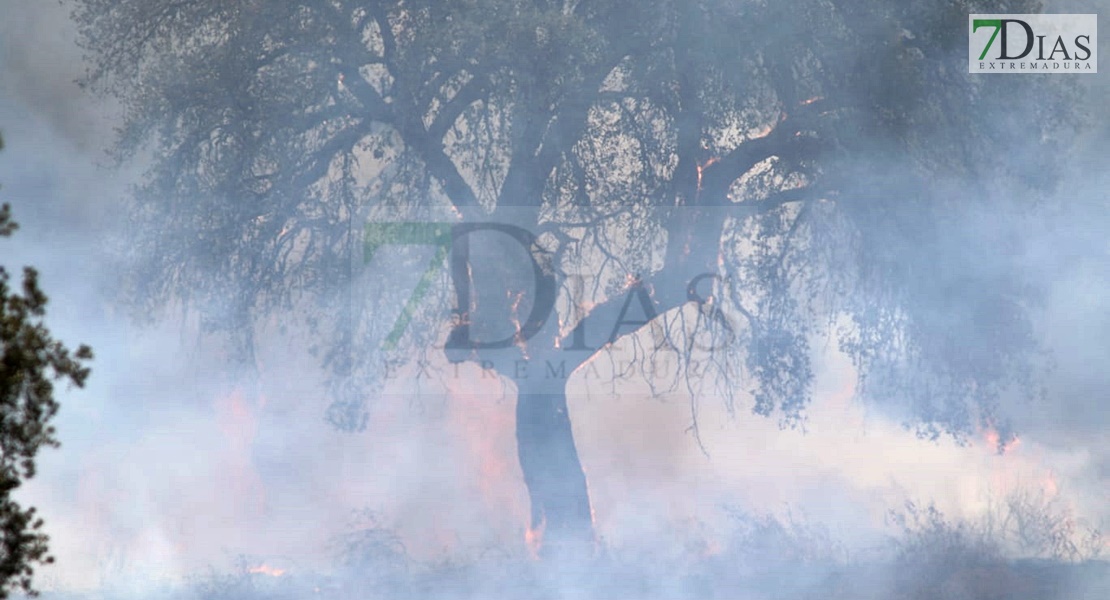 Un incendio sorprende a los vecinos del Coto del Manantío