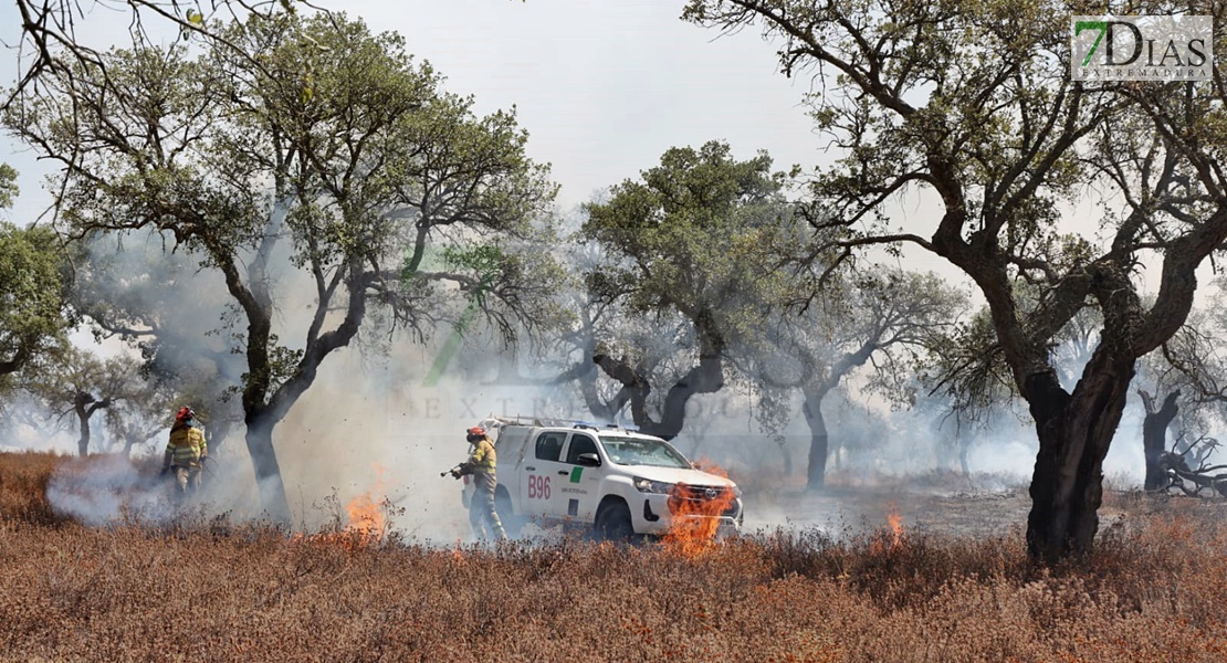 Un incendio sorprende a los vecinos del Coto del Manantío