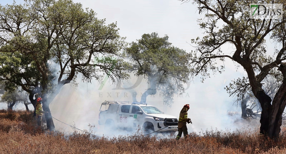 Un incendio sorprende a los vecinos del Coto del Manantío